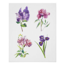 Botanische aquarelstudies – Sering, Pioen, Iris