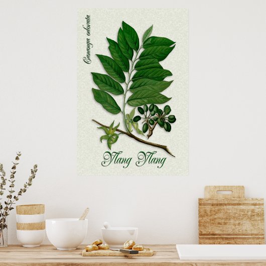 Botanische aromatherapie illustratie van Ylang Yla Poster (Keuken)