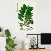 Botanische aromatherapie illustratie van Ylang Yla Poster (Thuiskantoor)