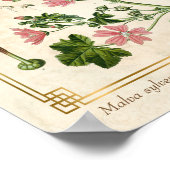 botanische baard roze mestventilator poster (Hoek)