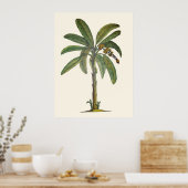 Botanische bananenboom poster (Keuken)