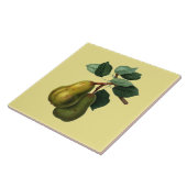 Botanische bartlett ~ Kleurachtergrond ~ Tegeltje (Zijkant)