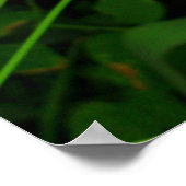 Botanische Belladonna Roze Lily Floral Print (Hoek)