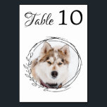 Botanische Black White Dog Wedding Modern Pet Foto Kaart<br><div class="desc">Tabelnummers van je huisdieren! Neem je beste hond, beste kat en elk huisdier op je bruiloft met zijn eigen tafelnummers voor je gasten. Ideaal voor hondenliefhebbers, en een speciale hondentafel zal een hit zijn op je bruiloft. Eenvoudig maar elegant wit met eucalyptusbladeren. Pas dit huisdiertrouwbord aan met je hond, kat,...</div>