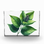 Botanische bladeren en bloesems fotoblokken (Voorkant)