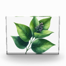 Botanische bladeren en bloesems