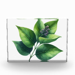 Botanische bladeren en bloesems fotoblokken