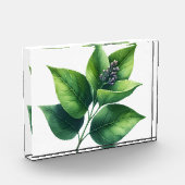 Botanische bladeren en bloesems fotoblokken (Links)