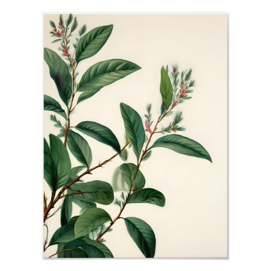  botanische bladeren foto afdruk (Voorkant)