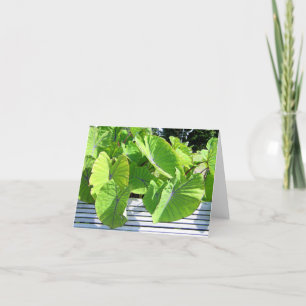 Botanische bladeren Note Kaart