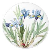botanische blauwe Iris Flowers Floral Knob Keramische Knop (Voorkant)