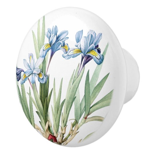 botanische blauwe Iris Flowers Floral Knob Keramische Knop (Rechts)