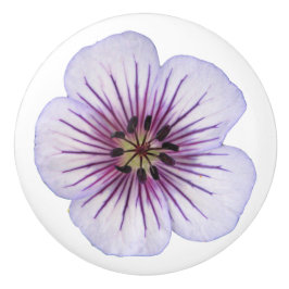 Botanische Bleke blauw-geraniumventiel op elke kle Keramische Knop