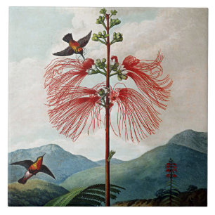 Botanische bloei Bloedend gevoelig Plant keramiek Tegeltje