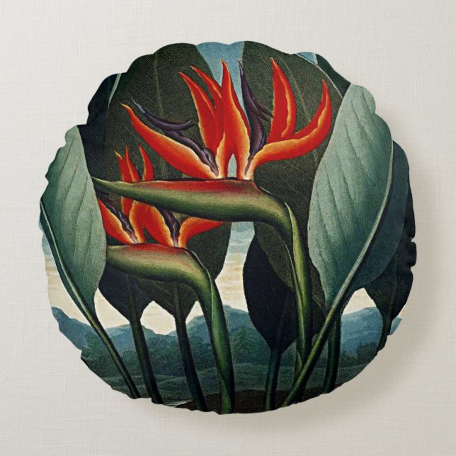 Botanische bloei Vogel van het Paradijs Kussens (Voorkant)