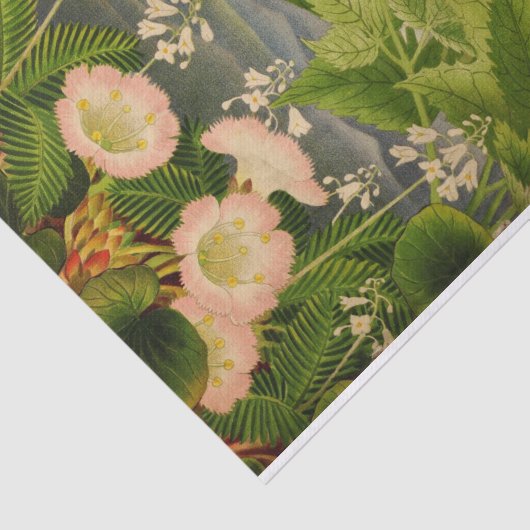  Botanische Bloem Boek Illustratie Tissuepapier (Detail)