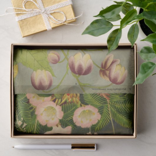  Botanische Bloem Boek Illustratie Tissuepapier (Geschenk)