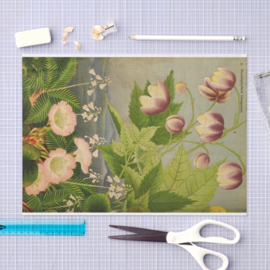  Botanische Bloem Boek Illustratie Tissuepapier (Craft)