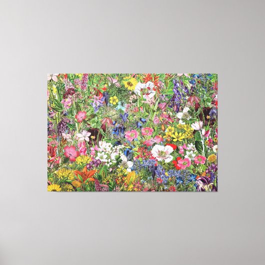 Botanische bloem Natuur Wilde bloem Canvas Afdruk (Voorkant)