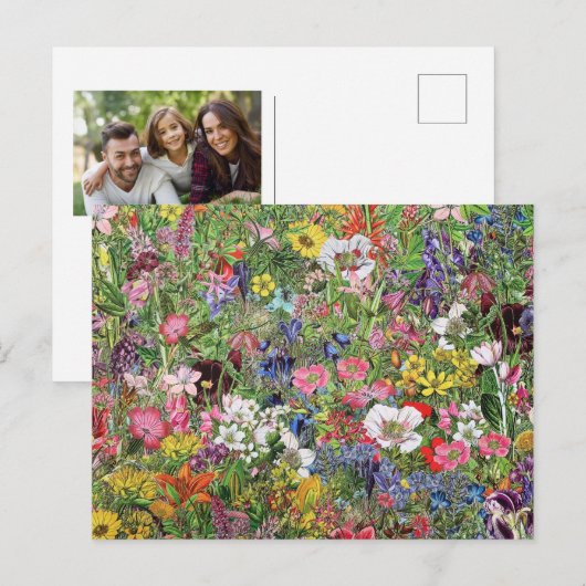 Botanische bloem Natuur Wilde bloem Feestdagenkaart (Voorkant / Achterkant)