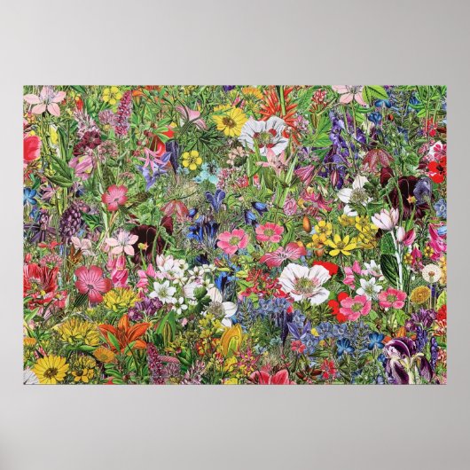 Botanische bloem Natuur Wilde bloem Poster (Voorkant)