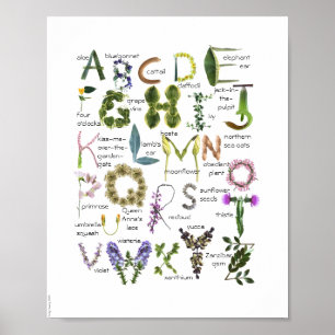 Botanische bloemen Alphabet Baby Nursery Poster -