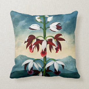 Botanische bloemen China Limodoron Cushions Kussen