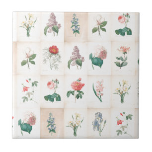 botanische bloemen door Redoute Tile Tegeltje