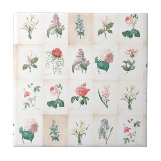  botanische bloemen door Redoute Tile Tegeltje (Voorkant)