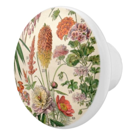   botanische bloemen keramische knop (Rechts)