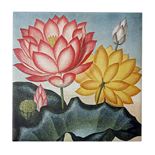 Botanische Bloemen Tropische Bloemen Keramiek Tegeltje