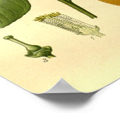  Botanische Bloemen Zoet Sinaasappel Fruit Illust Poster (Hoek)