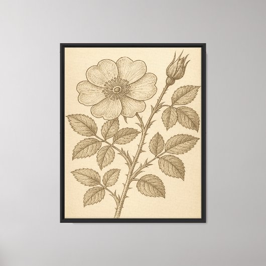botanische bloemengravure canvas afdruk (Voorkant)