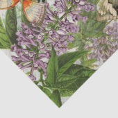 Botanische bloemenontvlechting vlinderbloemige vli tissuepapier (Detail)