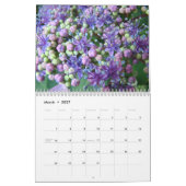 Botanische bloementuinen kalender HYDRANGEAS (Mar 2027)