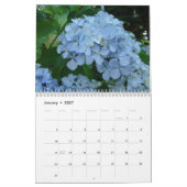 Botanische bloementuinen kalender HYDRANGEAS (Jan 2027)