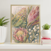 botanische bloemkunst | protea bloemillustratie poster