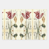 Botanische Bloemveer Moederdag Tulp Inpakpapier Vel (Voorkant)