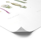  BOTANISCHE "BLUE POPPY" REDOUTÉ POSTER (Hoek)