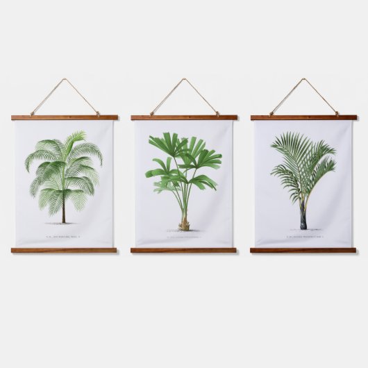 Botanische Boho  Palm Tree Canvas Poster Hangend Wandkleed (Driedubbel)