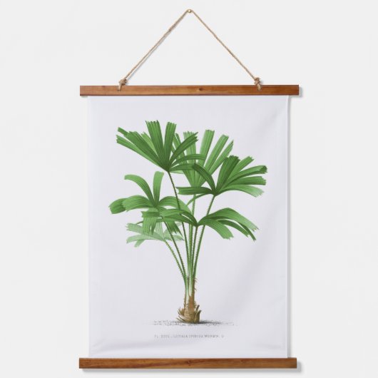 Botanische Boho  Palm Tree Canvas Poster Hangend Wandkleed (Voorkant 2)