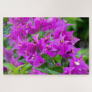 Botanische Bougainvillea Kleurrijke Bloemen Legpuzzel