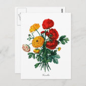 Botanische Camellia Bokeh Briefkaart (Voorkant / Achterkant)