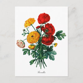 Botanische Camellia Bokeh Briefkaart