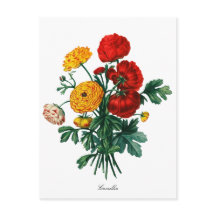 Botanische Camellia Bokeh