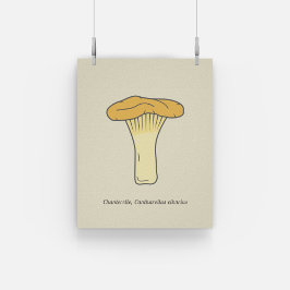 Botanische Chanterelle-paddenstoel Poster
