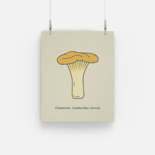 Botanische Chanterelle-paddenstoel Poster