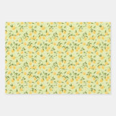 Botanische citroenvrucht en picknick inpakpapier vel (Voorkant)