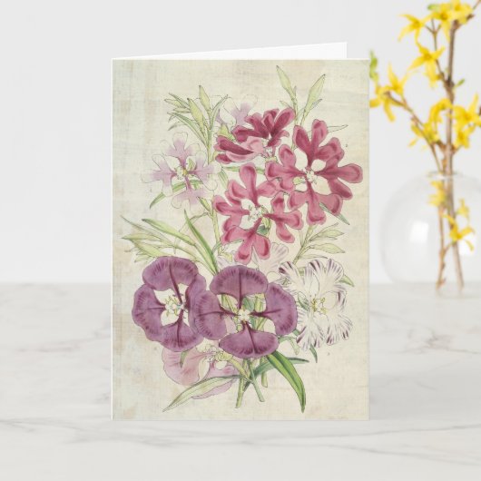  botanische Clarkias Kaart (Gele Bloem)