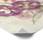  botanische Clarkias Poster (Hoek)